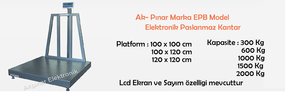 Elektronik Kantar ve Baskl